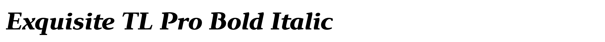 Exquisite TL Pro Bold Italic image